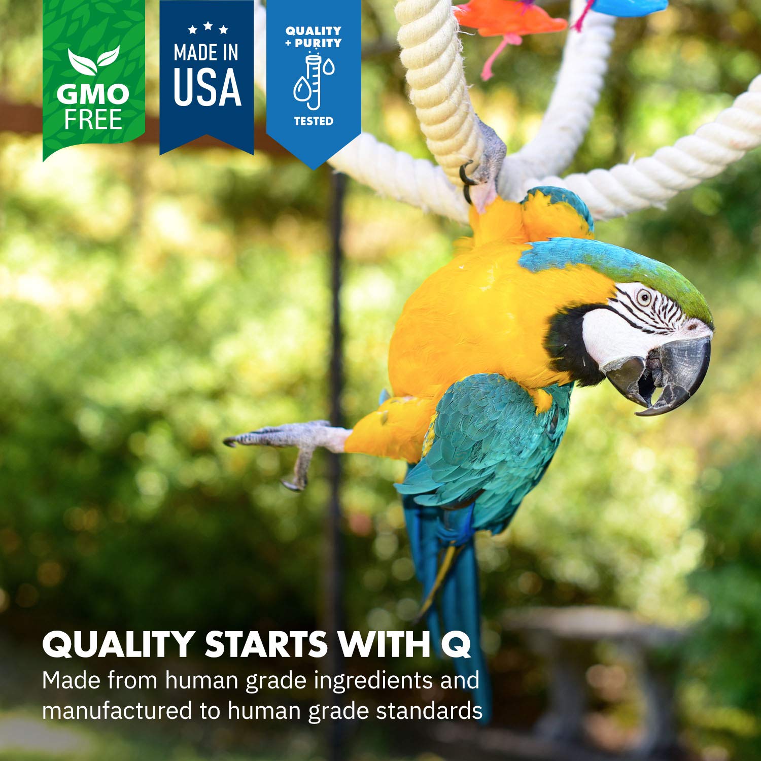 Equa Holistics HealthyGut loros comiendo comida con probióticos
