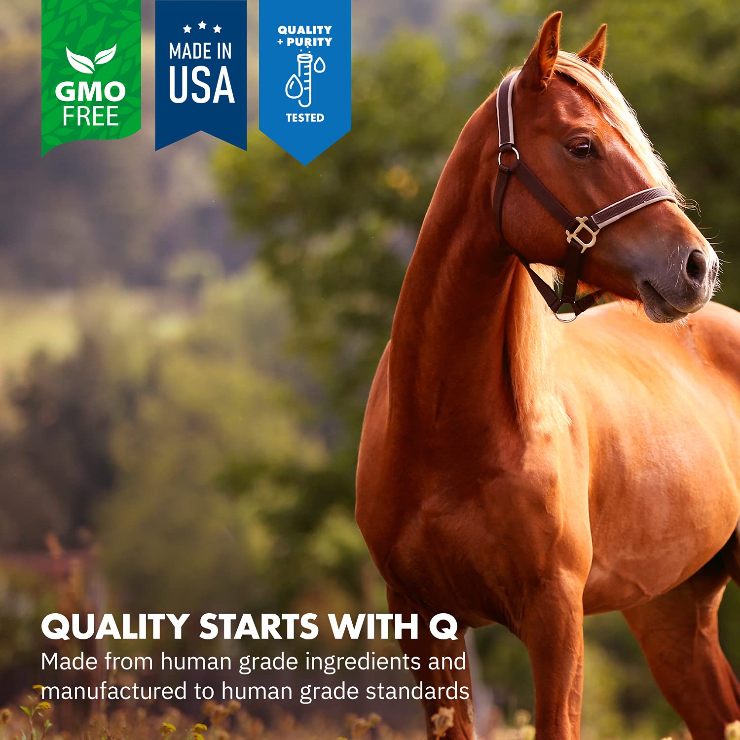Equa Holistics HealthyGut, dieta diaria para caballos trabajadores