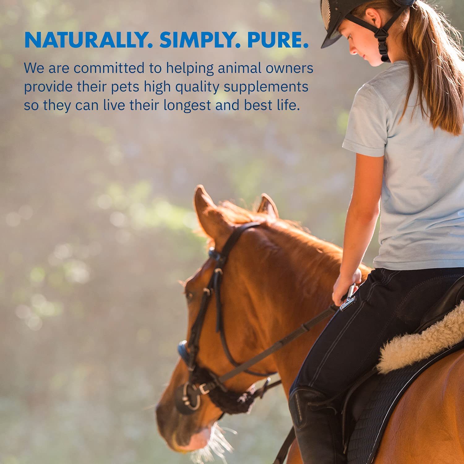 Equa Holistics HealthyGut, producto sin OGM para caballos
