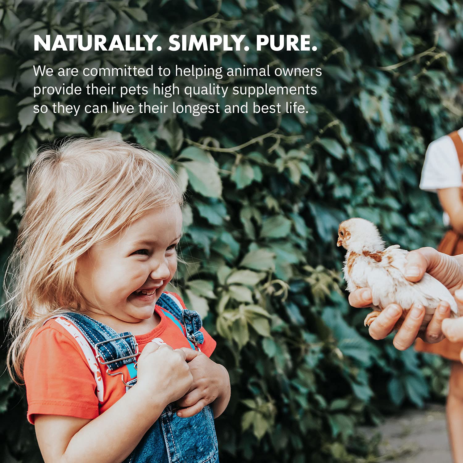 Equa Holistics HealthyGut Probiotics: polvo para espolvorear sobre alimento diario.