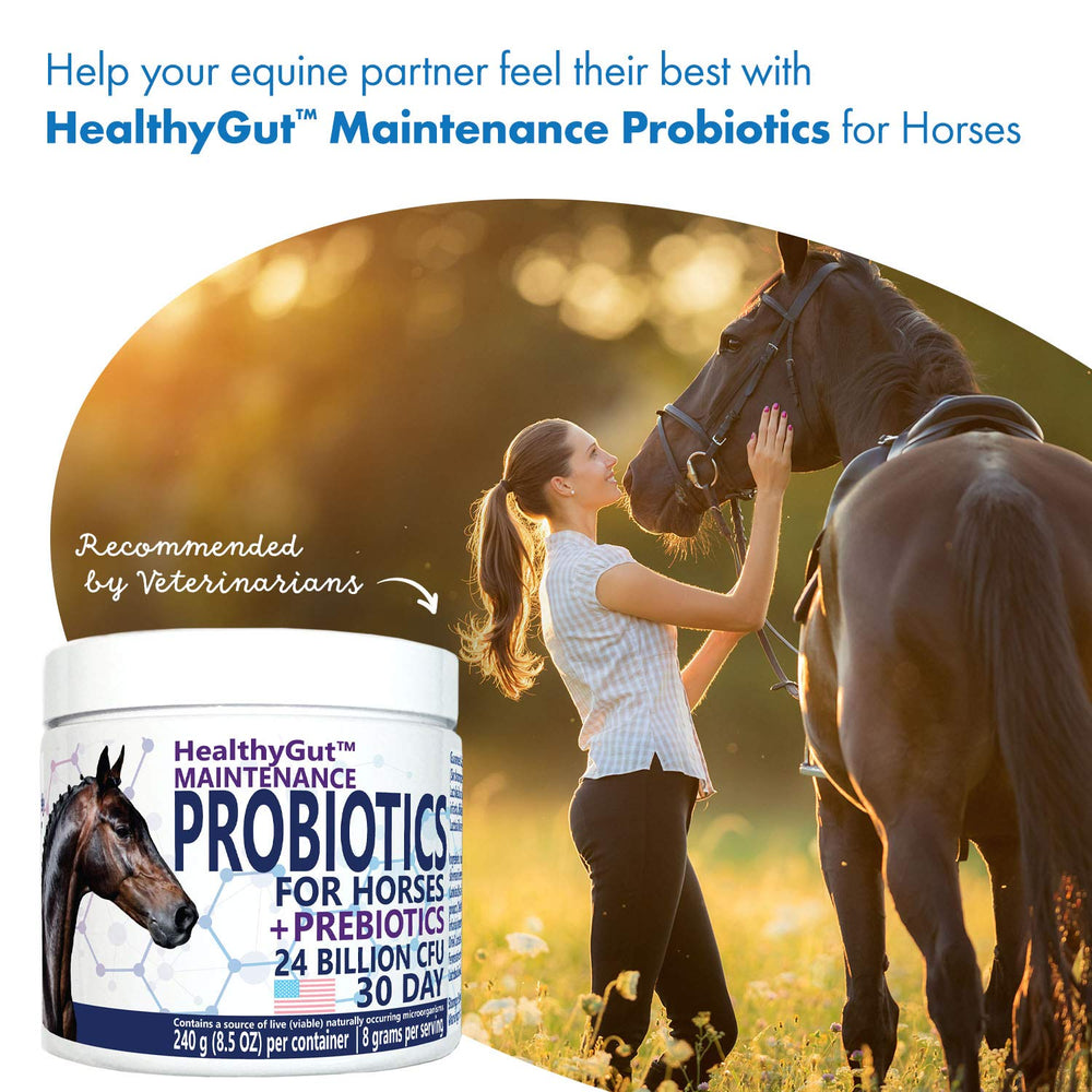 Equa Holistics HealthyGut: fórmula sin OGM para seguridad y pureza
