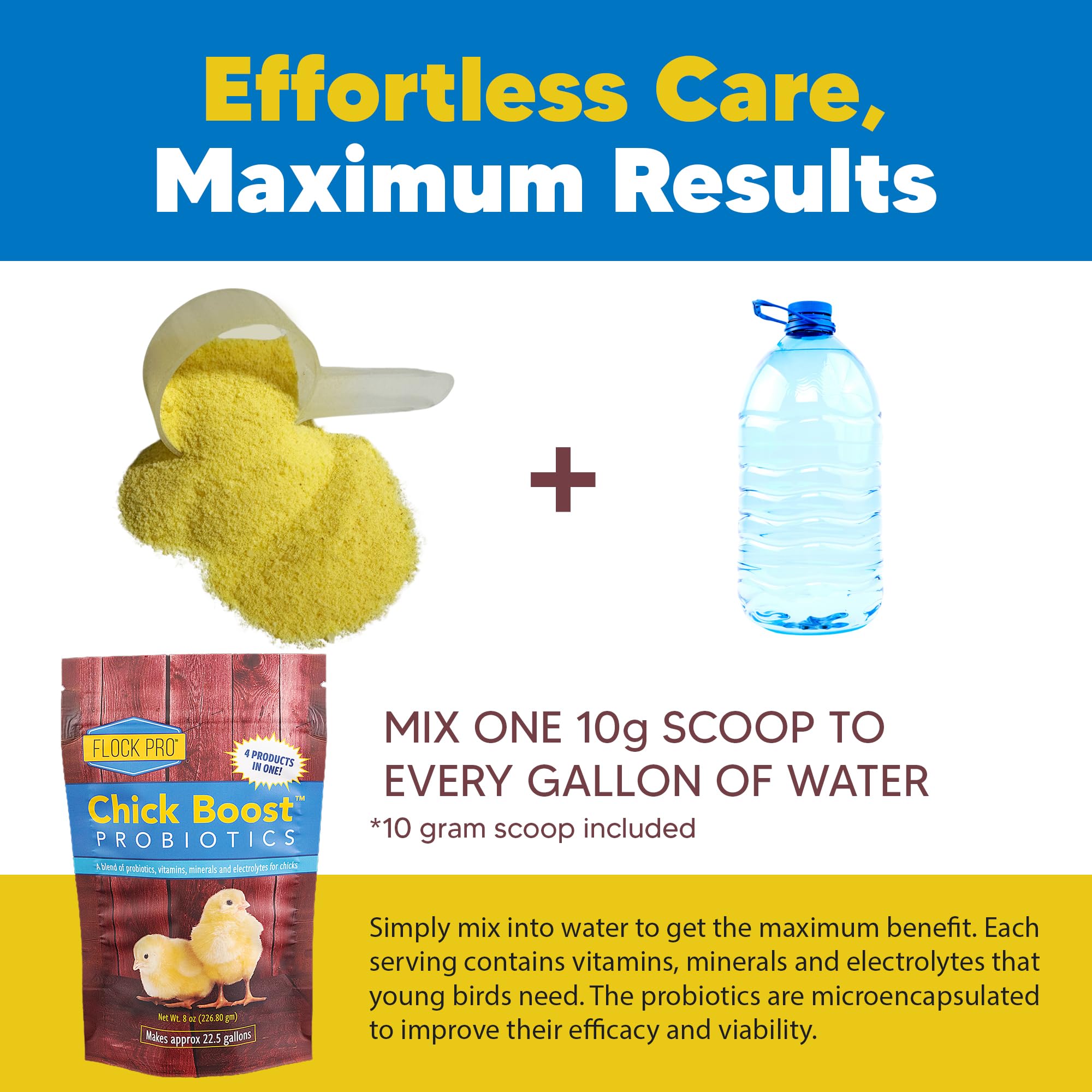 Equerry's Flock PRO Chick Boost Probiotic – dosis diaria para pollitos en agua