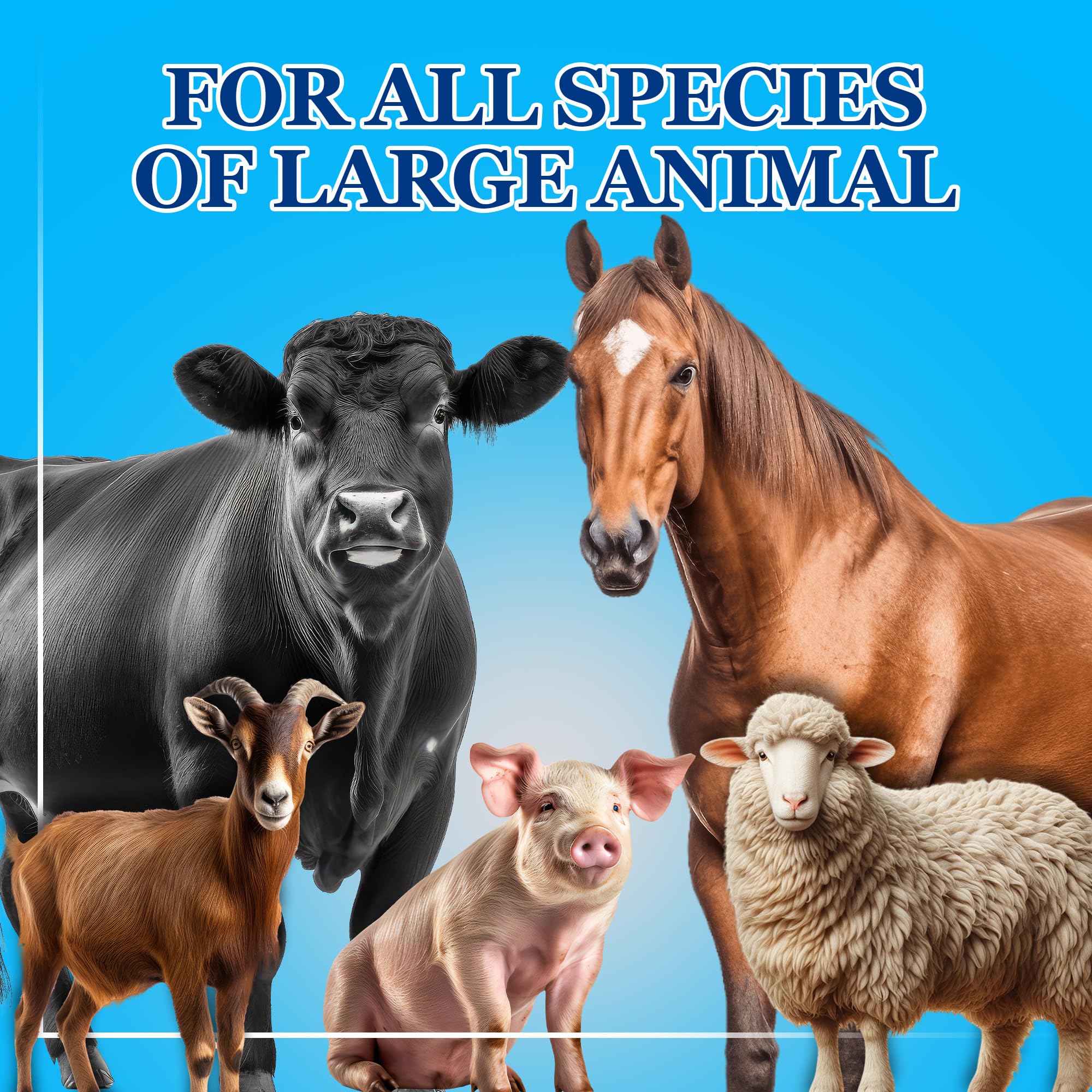 Equerry's Probiótico para Grandes Animales: podría apoyar la absorción de nutrientes.