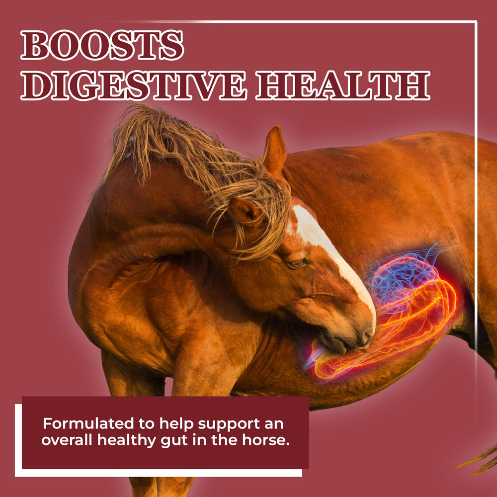 Equerry's Mezcla alimento caballo probióticos digestivos para microflora equilibrada.