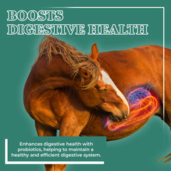 Equerry's Plus; etiqueta visible con claridad de ingredientes.
