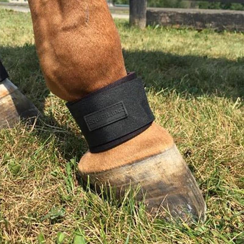 EquiFit: uso en pierna frontal o trasera para protección versátil.