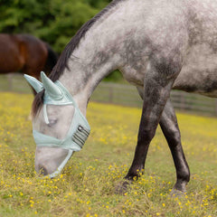 Equinavia Algard frente de doble dardo para protección ocular y visión clara