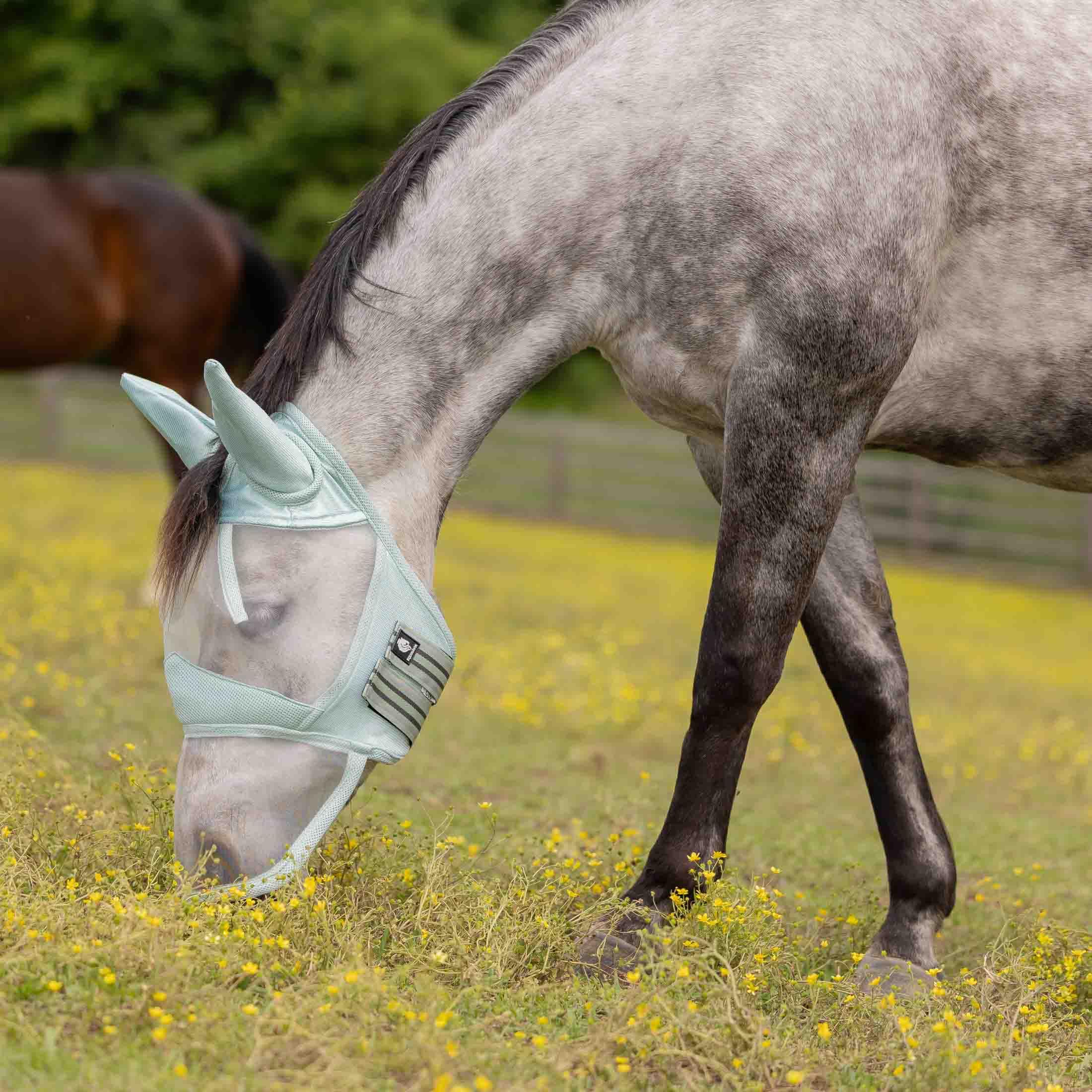 Equinavia Algard: malla suave cubre nariz larga para Jade Niebla Cob, protección contra moscas