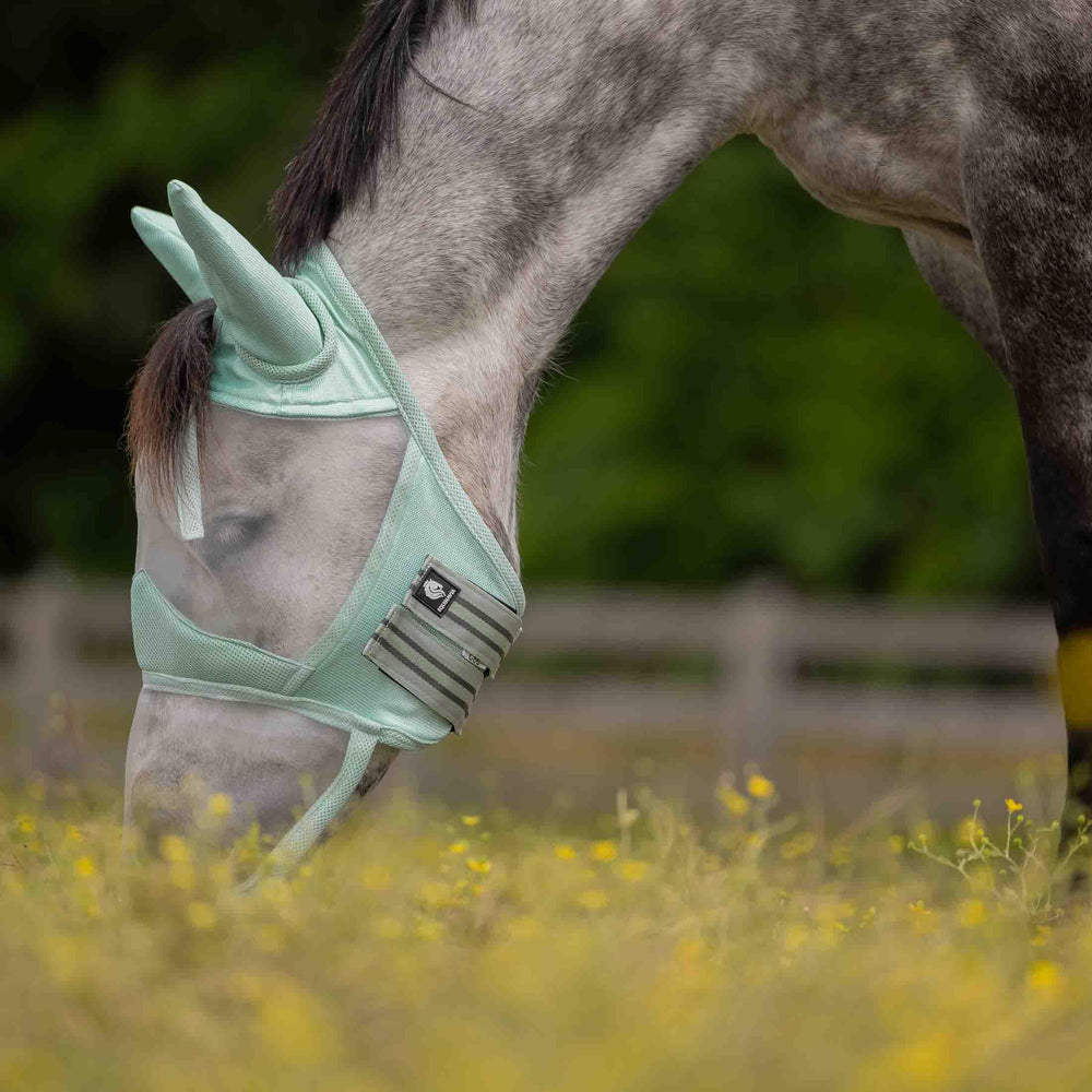 Equinavia Algard: nariz extendida ofrece cobertura adicional para el hocico