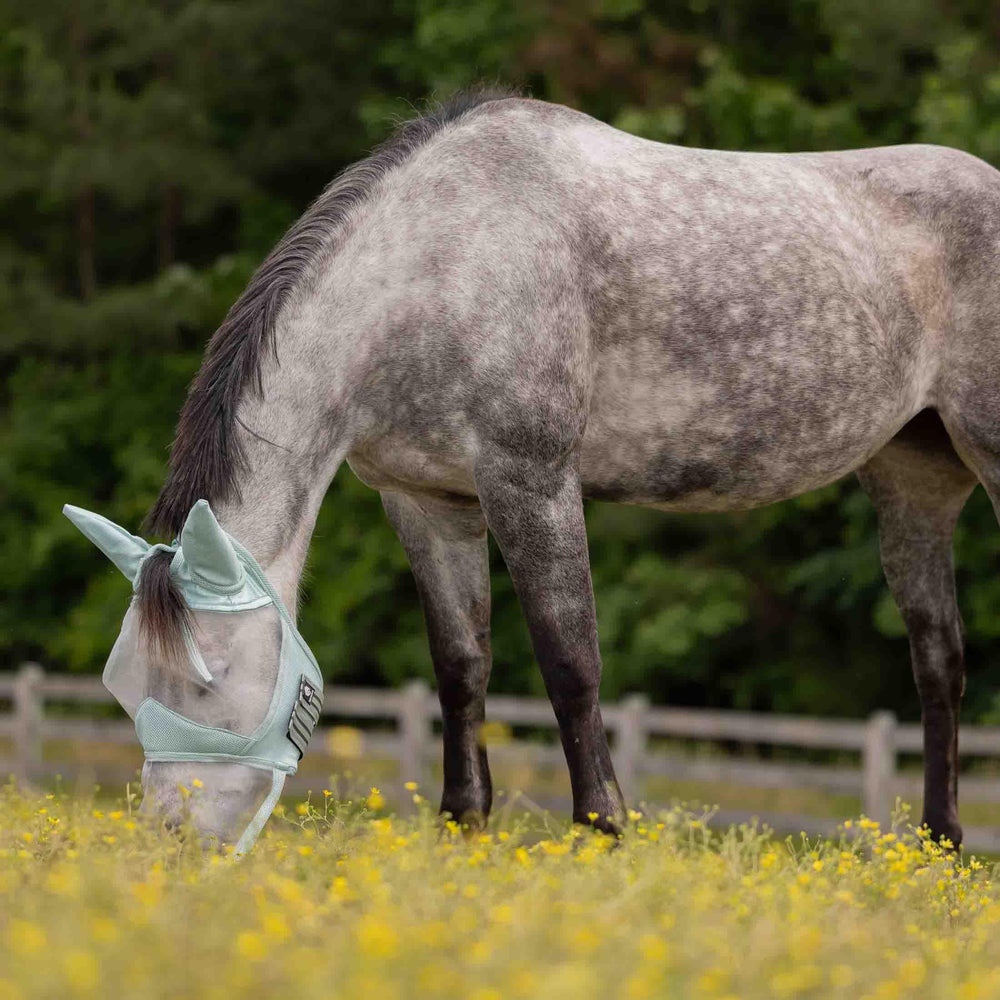 Equinavia Algard: ventilación perforada para comodidad del caballo