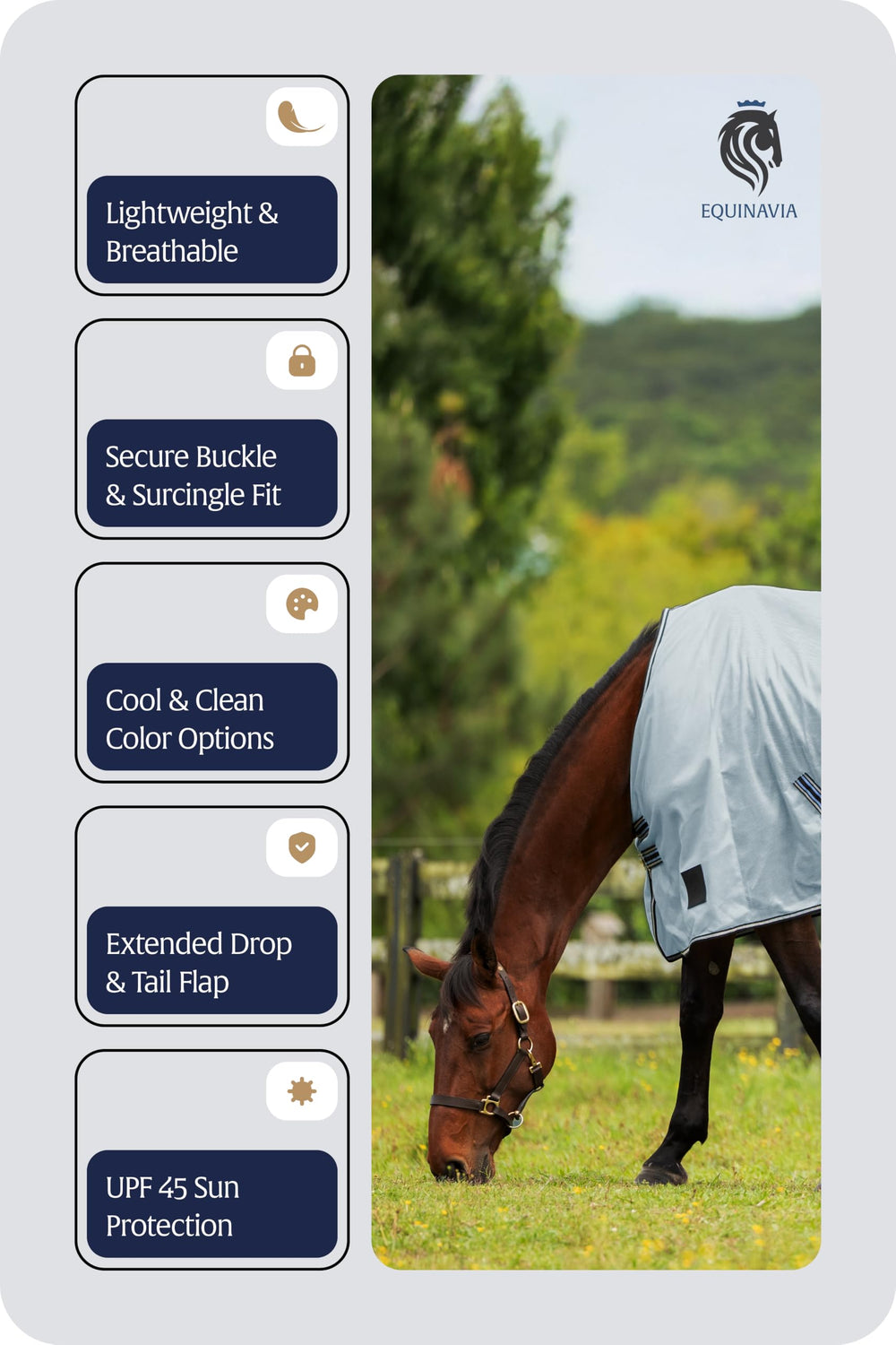 Equinavia Gard cobertura de cola y vientre para protección adicional durante el clima cálido.