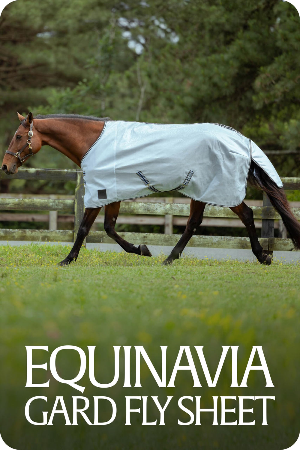 Equinavia Gard Horse Fly Sheet: disponible en azul claro, ideal para coordinar con el equipo