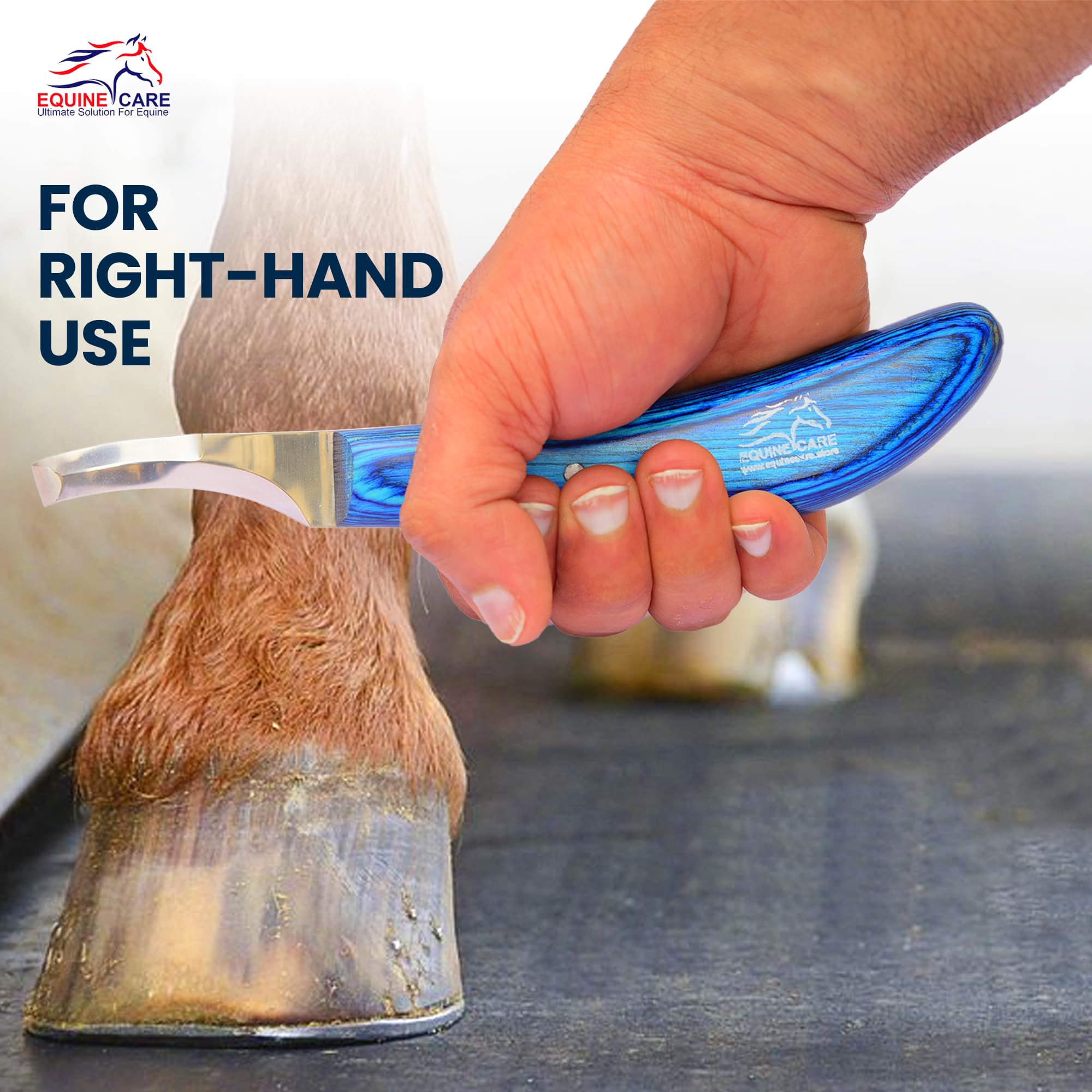 Equine Care: diseño versátil para el cuidado de cascos en ganado variado.
