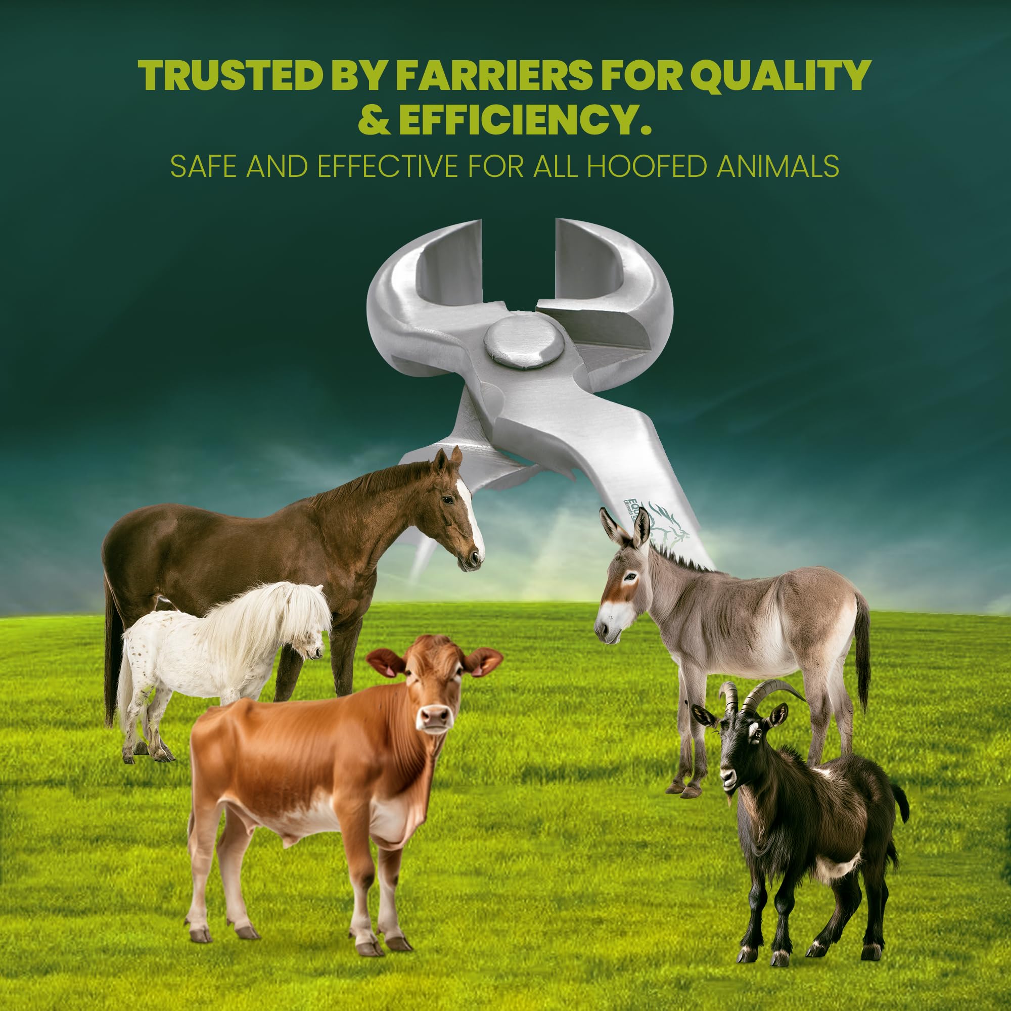 Equine Care uso profesional para herradores y dueños de caballos.