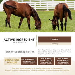 Equithrive Metabarol pellets en alimento, fácil integración en la dieta.