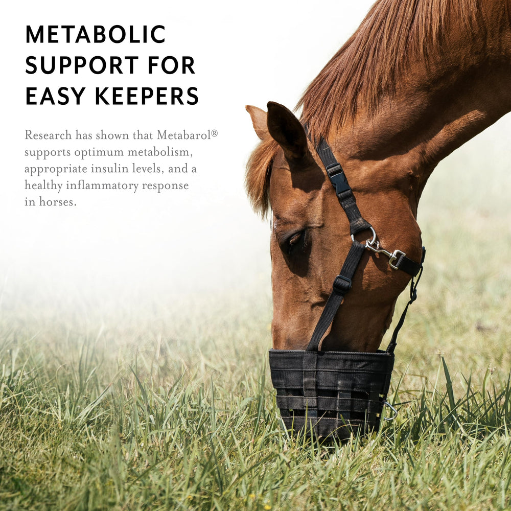 Equithrive Metabarol pellets para casco, apoyo a la salud de las pezuñas.