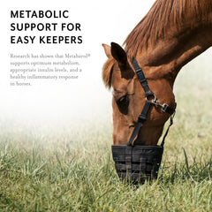 Equithrive Metabarol pellets para casco, apoyo a la salud de las pezuñas.