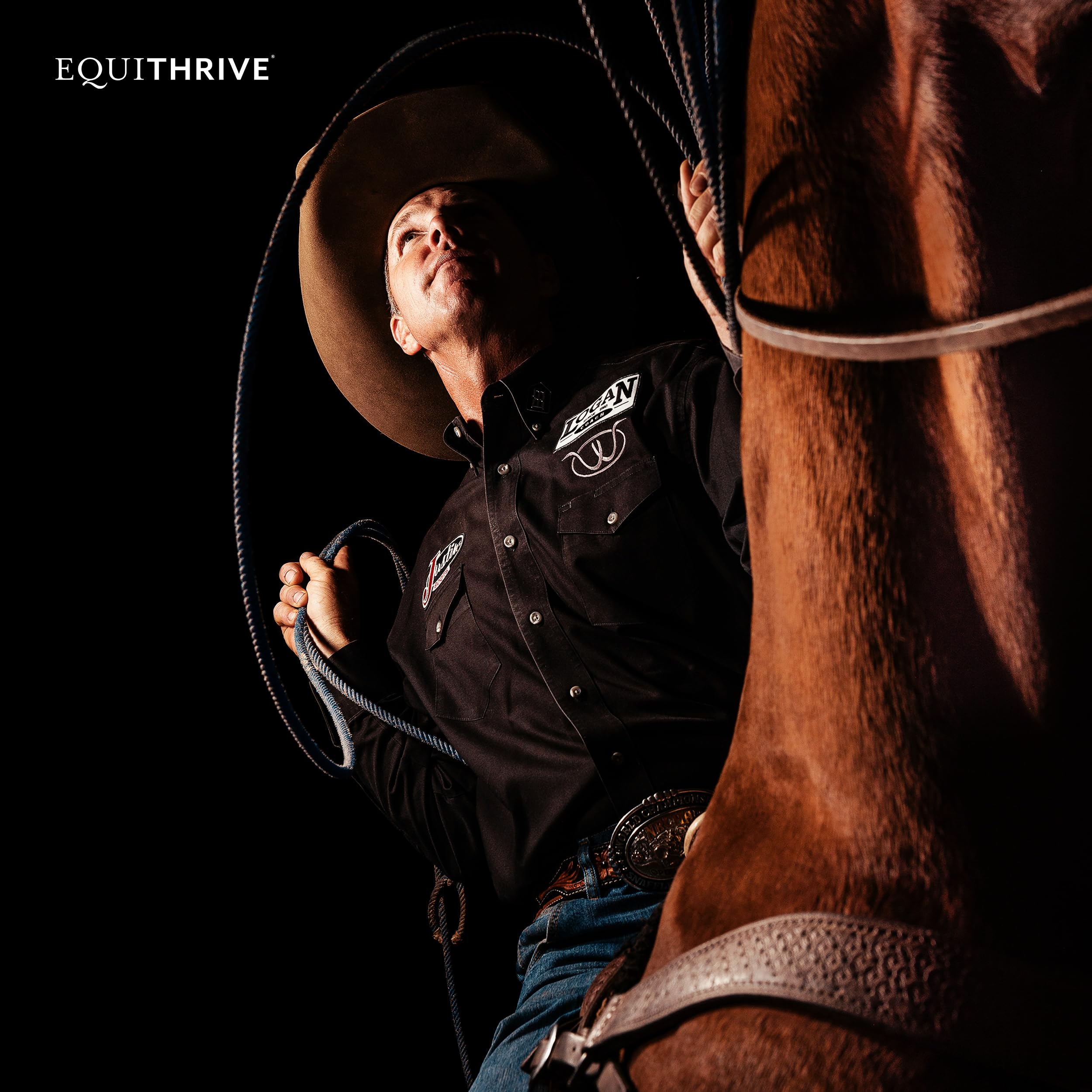 Equithrive Original, caballo en entrenamiento con suplemento articular
