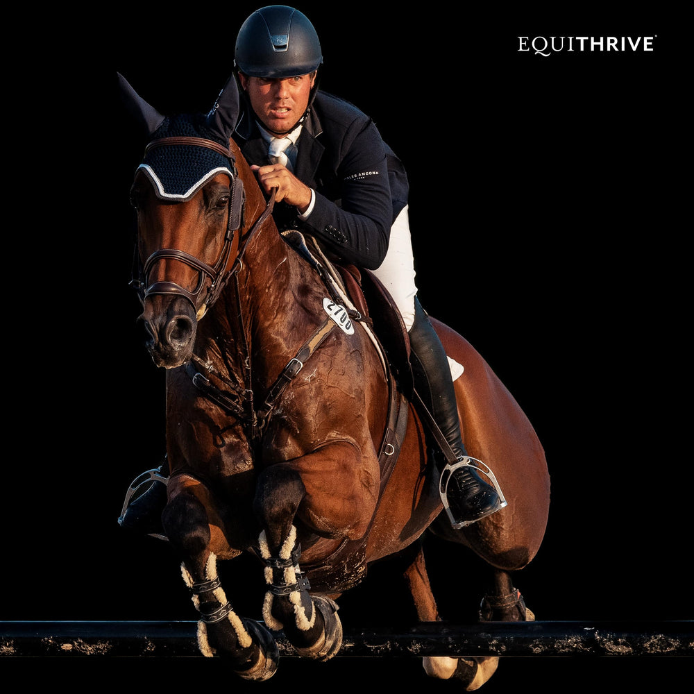 Equithrive Original, uso en competición, soporte suave para articulaciones
