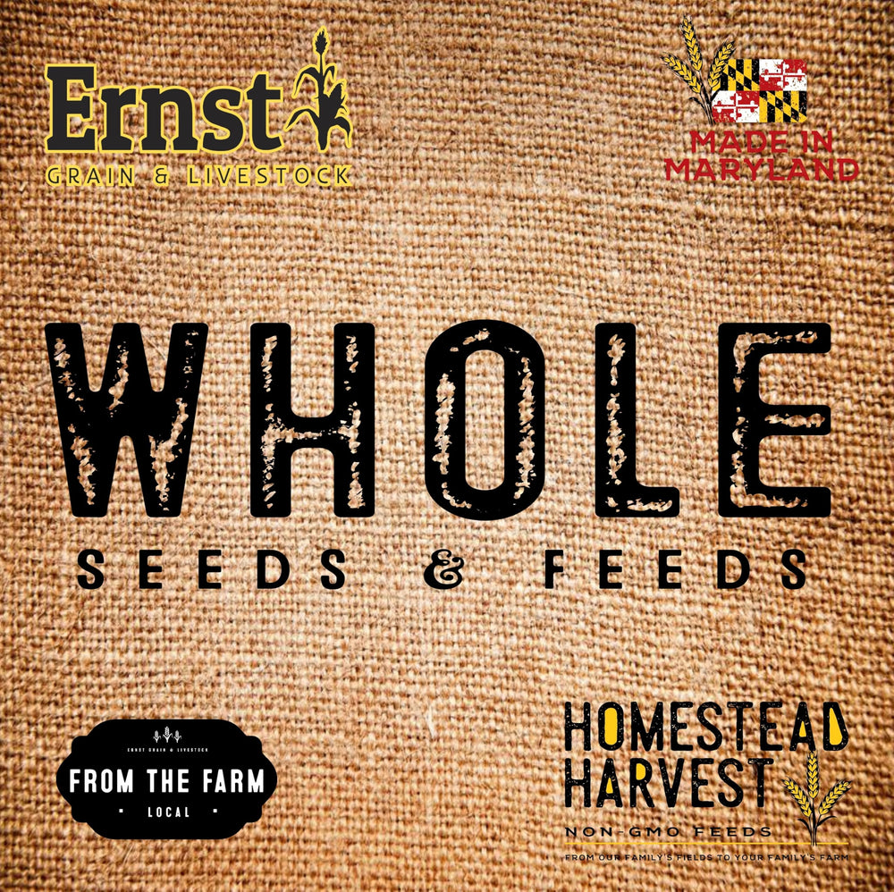 Empaque de 10lb Ernst Grain & Livestock, práctico para criadores.