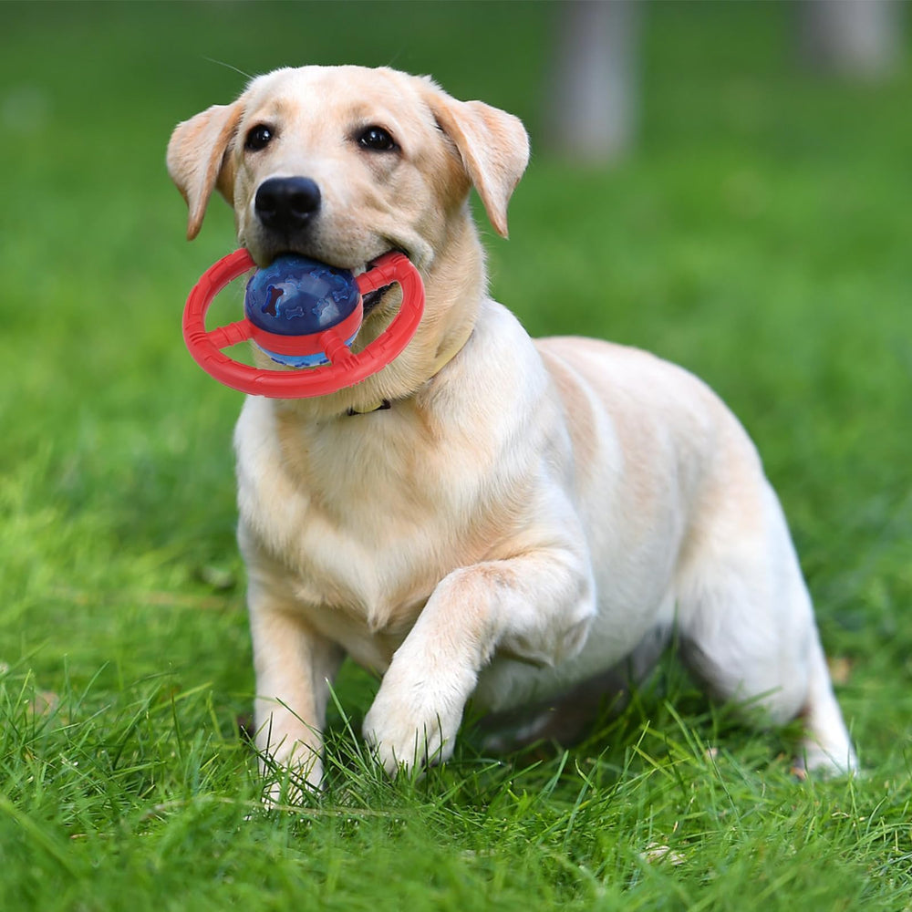 EsGPET regalo ideal para perros activos, fomenta juego seguro.