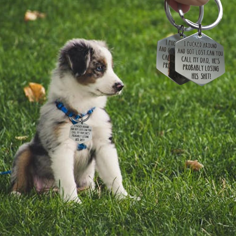 Etiqueta divertida para mascotas: ligero y fácil de fijar a cualquier collar.
