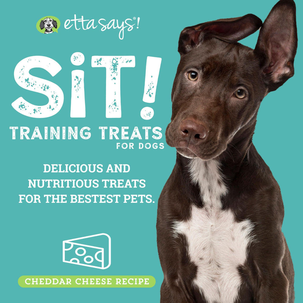 etta says! Premios de entrenamiento: trocitos de queso suave para perro sabroso