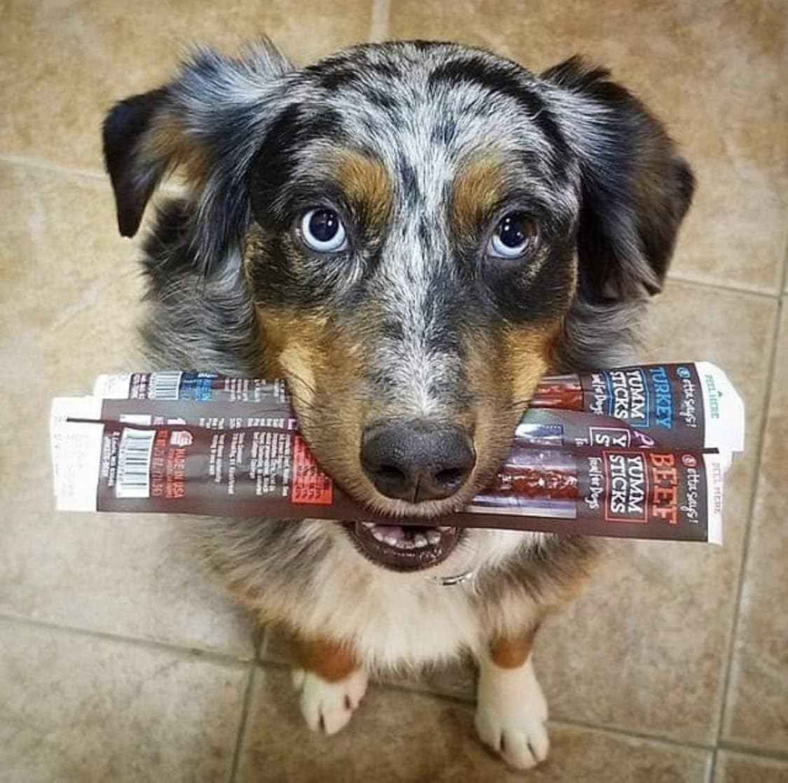 etta says! Yumm Sticks – hecho en EE. UU., snack de calidad