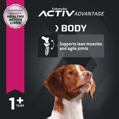 Eukanuba Adult: energía equilibrada para perros activos a diario.