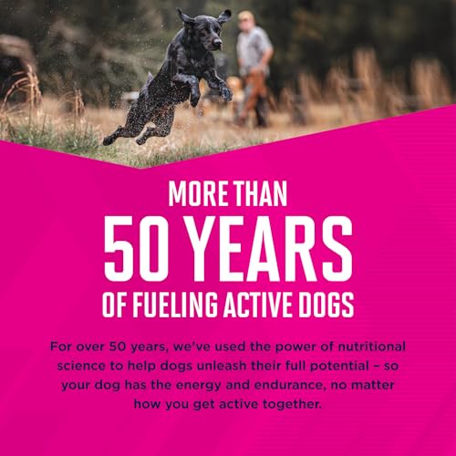 Comida para cachorros grandes con nutrición equilibrada para un futuro saludable.