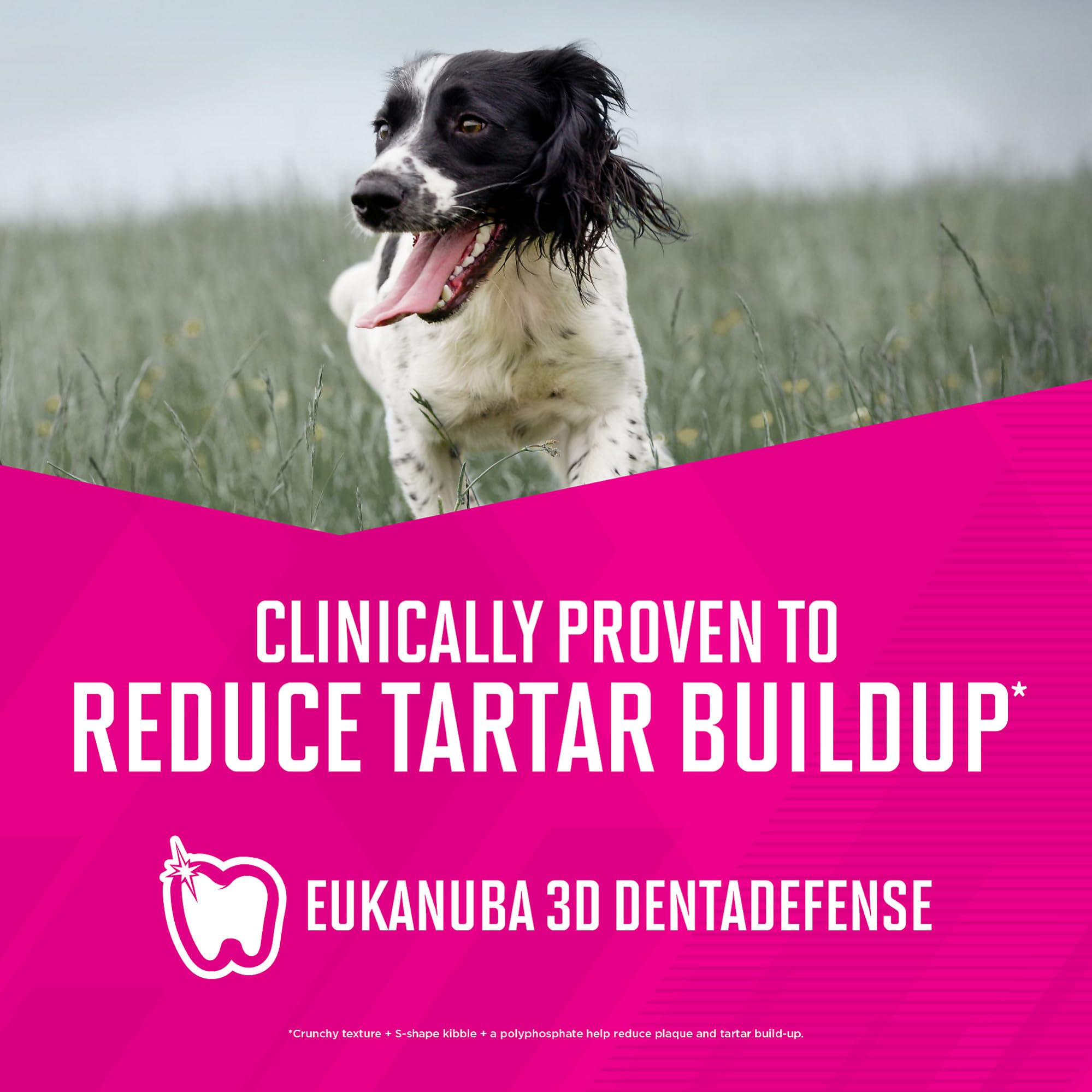 Empaque de Eukanuba Senior resistente mantiene frescura para casa.