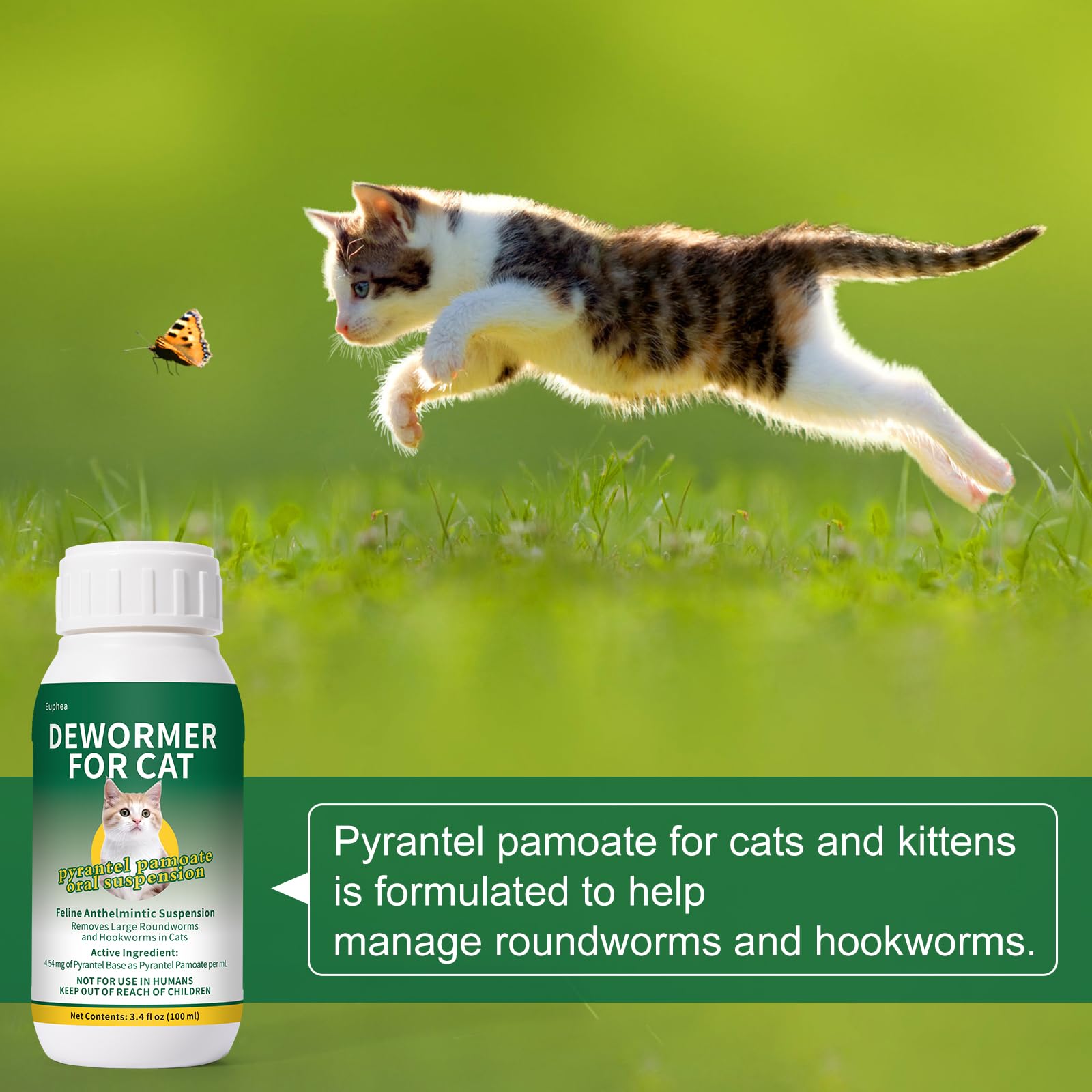 Euphea Suspensión sabor caramelo para gatos, mezcla fácil con comida.