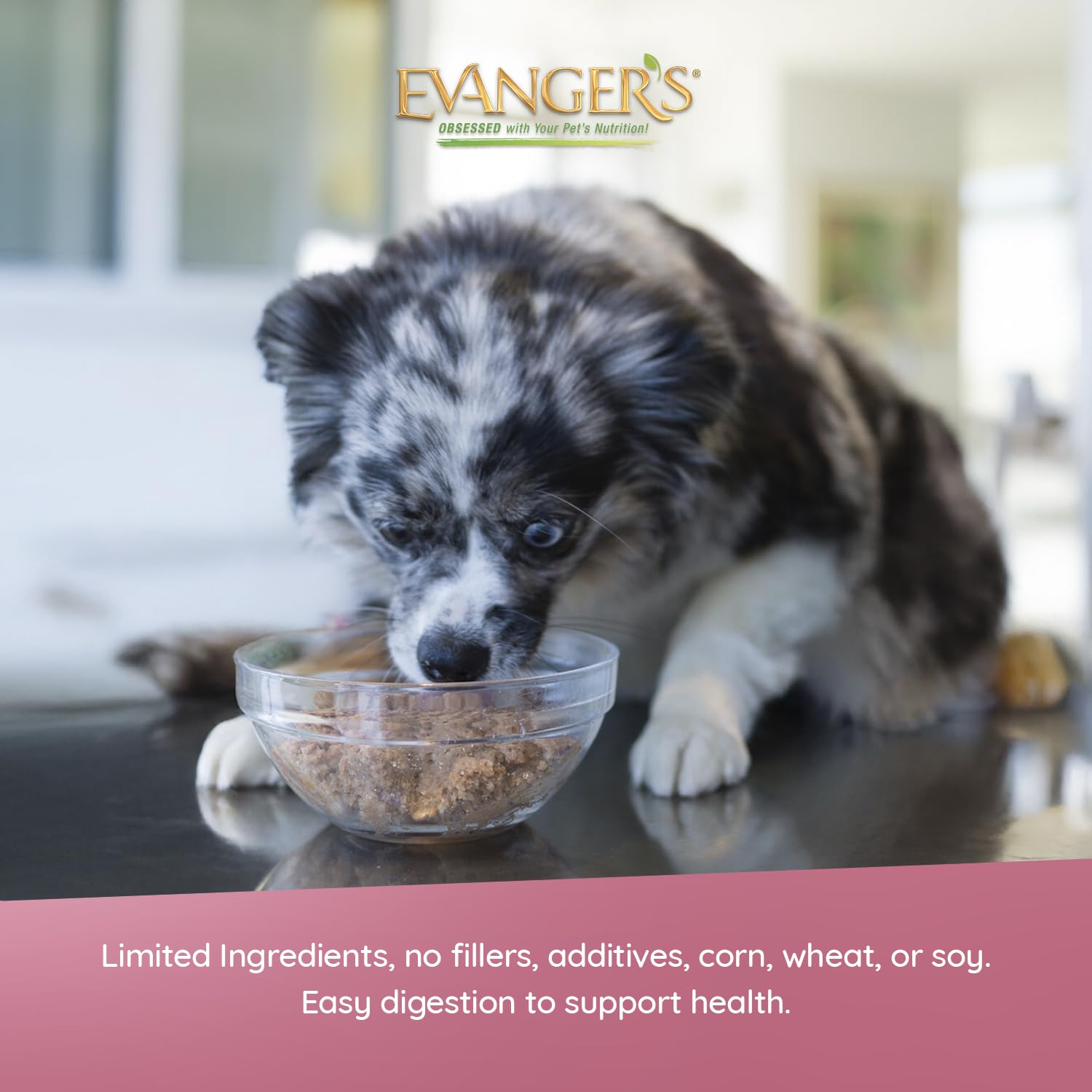 Evanger's Heritage Clasica Senior, lata cordero-arroz, cuidado de perros mayores