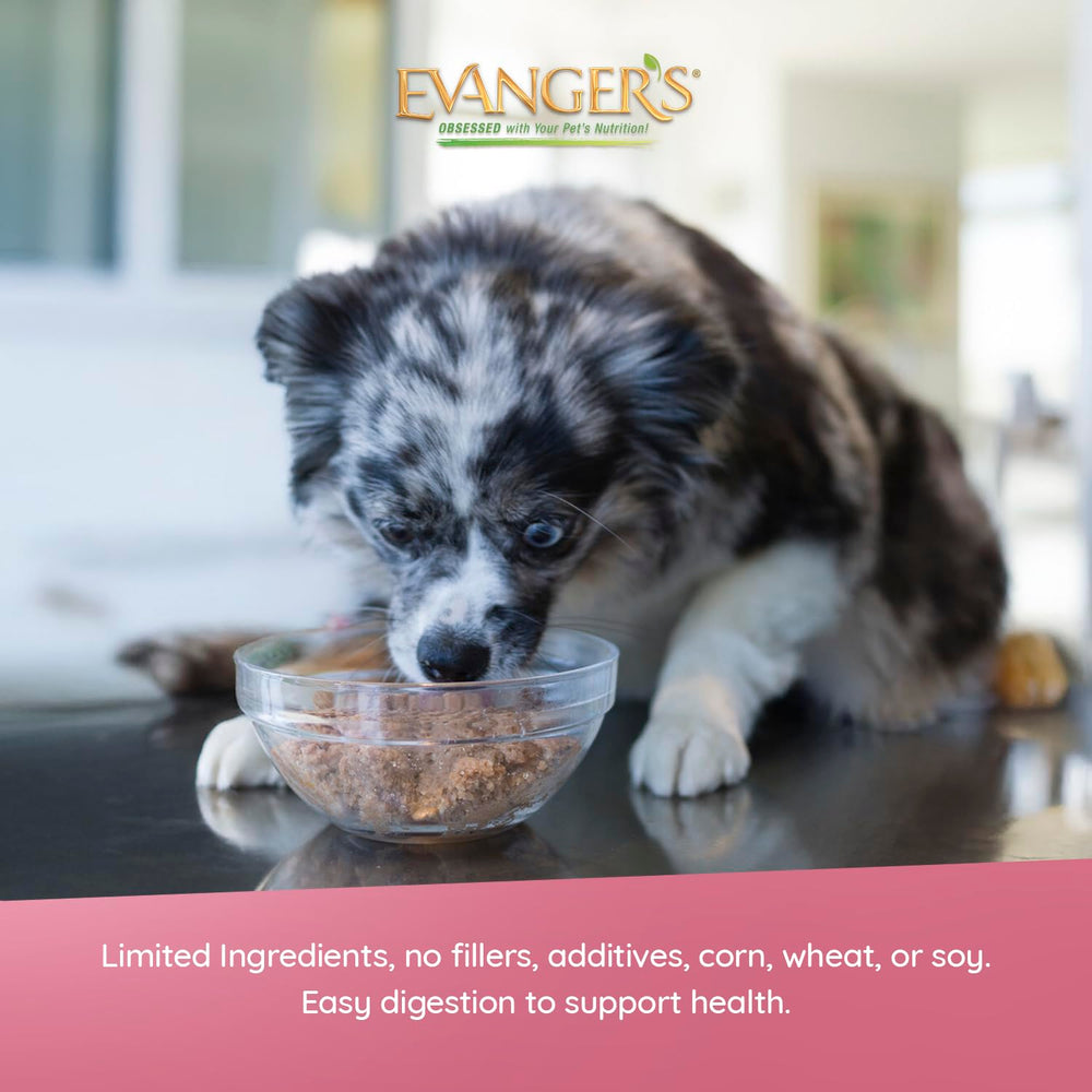 Evanger's Heritage Clasica Senior, lata cordero-arroz, cuidado de perros mayores