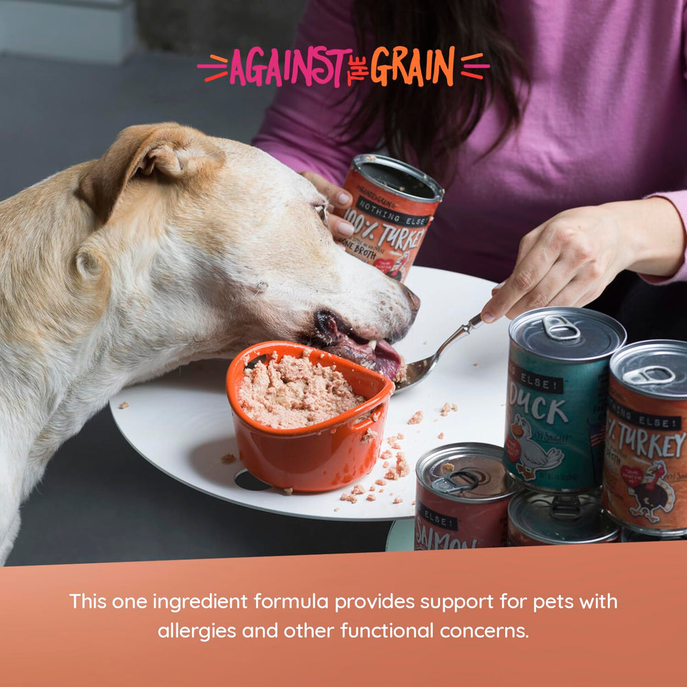 Evanger's Nada Más: perro comiendo contento gracias a sabor simple y textura atractiva.