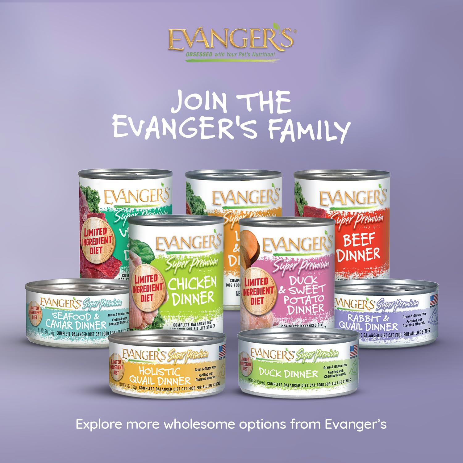 Evanger's Super Rabbit & Quail Dinner, proteínas novedosas, apta para gatos sensibles.