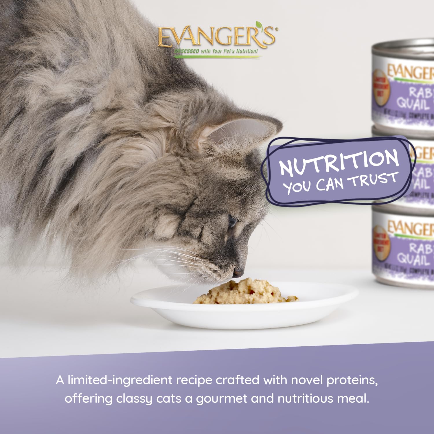 Evanger's Super Rabbit & Quail Dinner, textura pâté suave, fácil de comer para gatos.