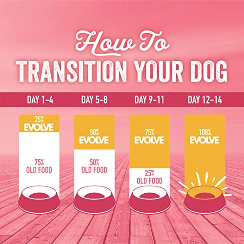 Evolve energía sostenida para paseos y juego