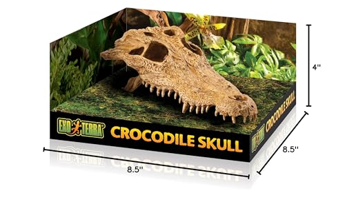 Exo Terra calavera cocodrilo realza la estética del terrario