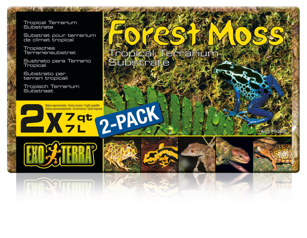 Exo Terra Forest Plume Moss en envase, ideal para refugios húmedos.