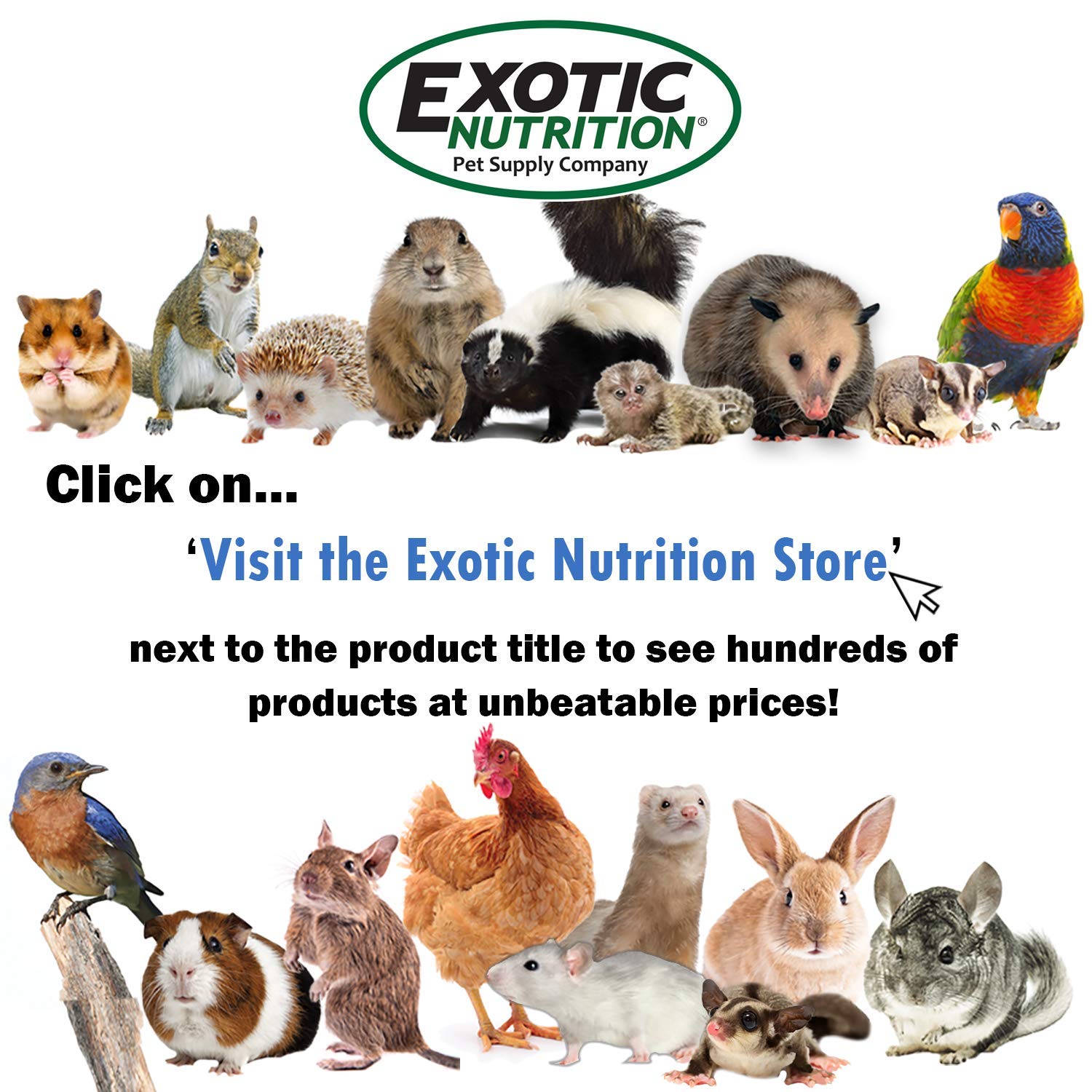 Exotic Nutrition Baies et Insectes – rangement au congélateur après ouverture pour conservation longue.