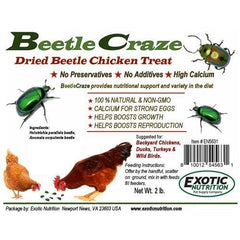 Bolsa Beetle Craze deshidratados, práctico para premios y entrenamiento