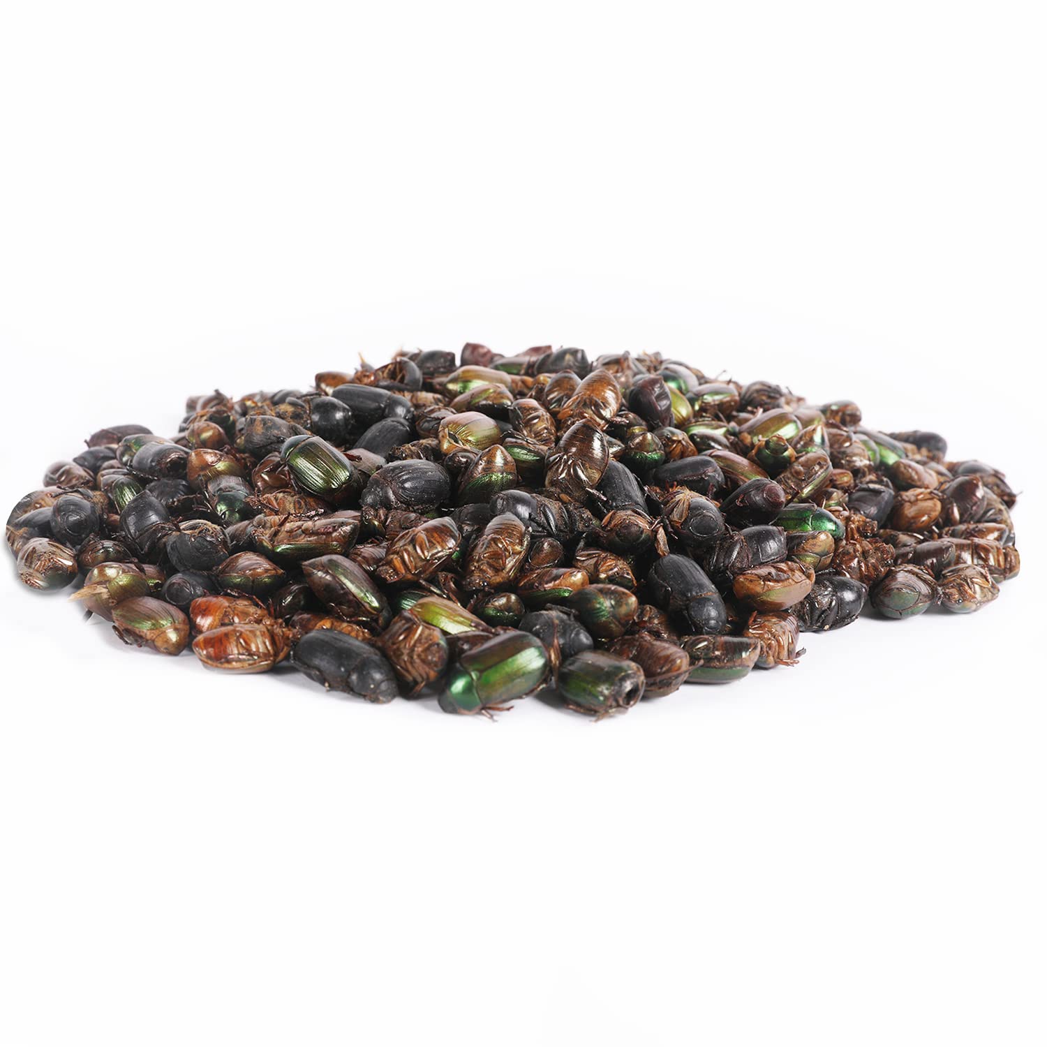 Etiqueta Beetle Craze que destaca alto contenido proteico