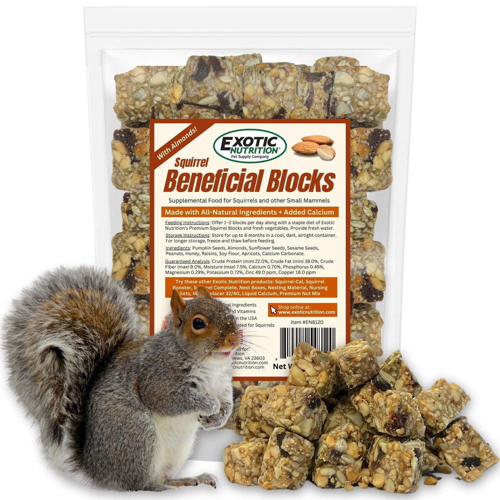 Ardilla con bloque nutritivo Exotic Nutrition para forraje y merienda.