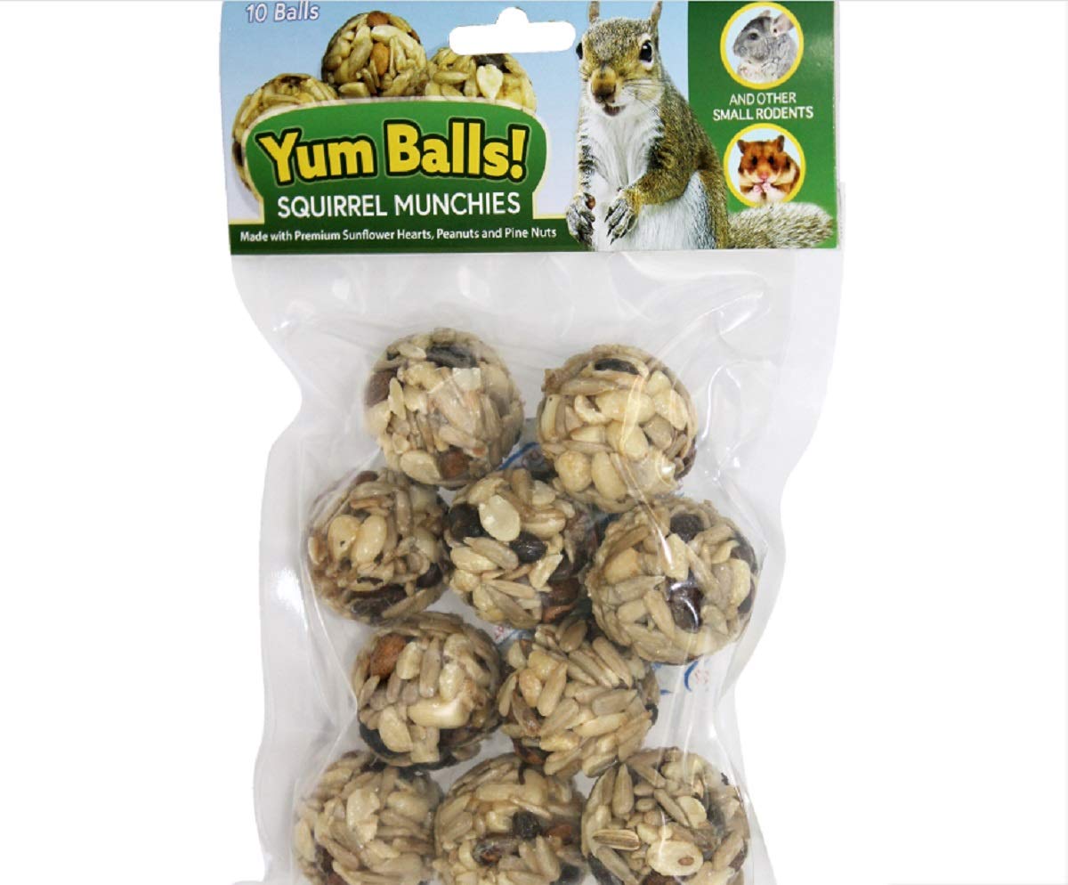 Exotic Nutrition bolas nutritivas para ardillas, estimulan el forraje y la salud dental.