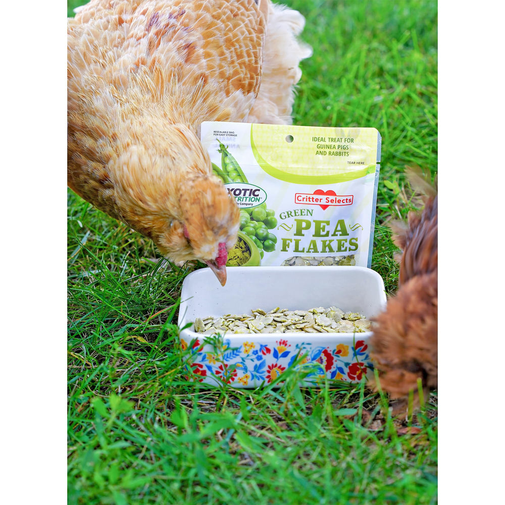 Snack sano de Exotic Nutrition, copos de guisante verde para recompensas.