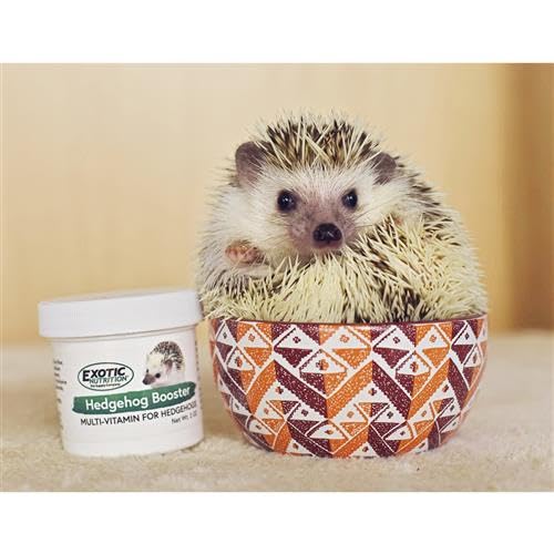 Accesorios de juego Exotic Nutrition para erizos, estimulan exploración y movilidad.