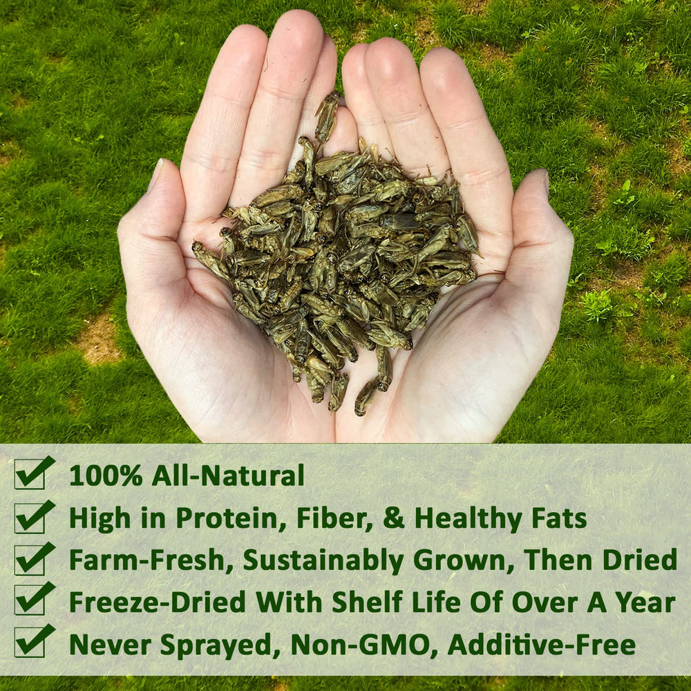 Grillos secos para aves silvestres Exotic Nutrition, apoyo nutricional para aves de exterior