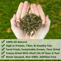 Grillos secos para aves silvestres Exotic Nutrition, apoyo nutricional para aves de exterior