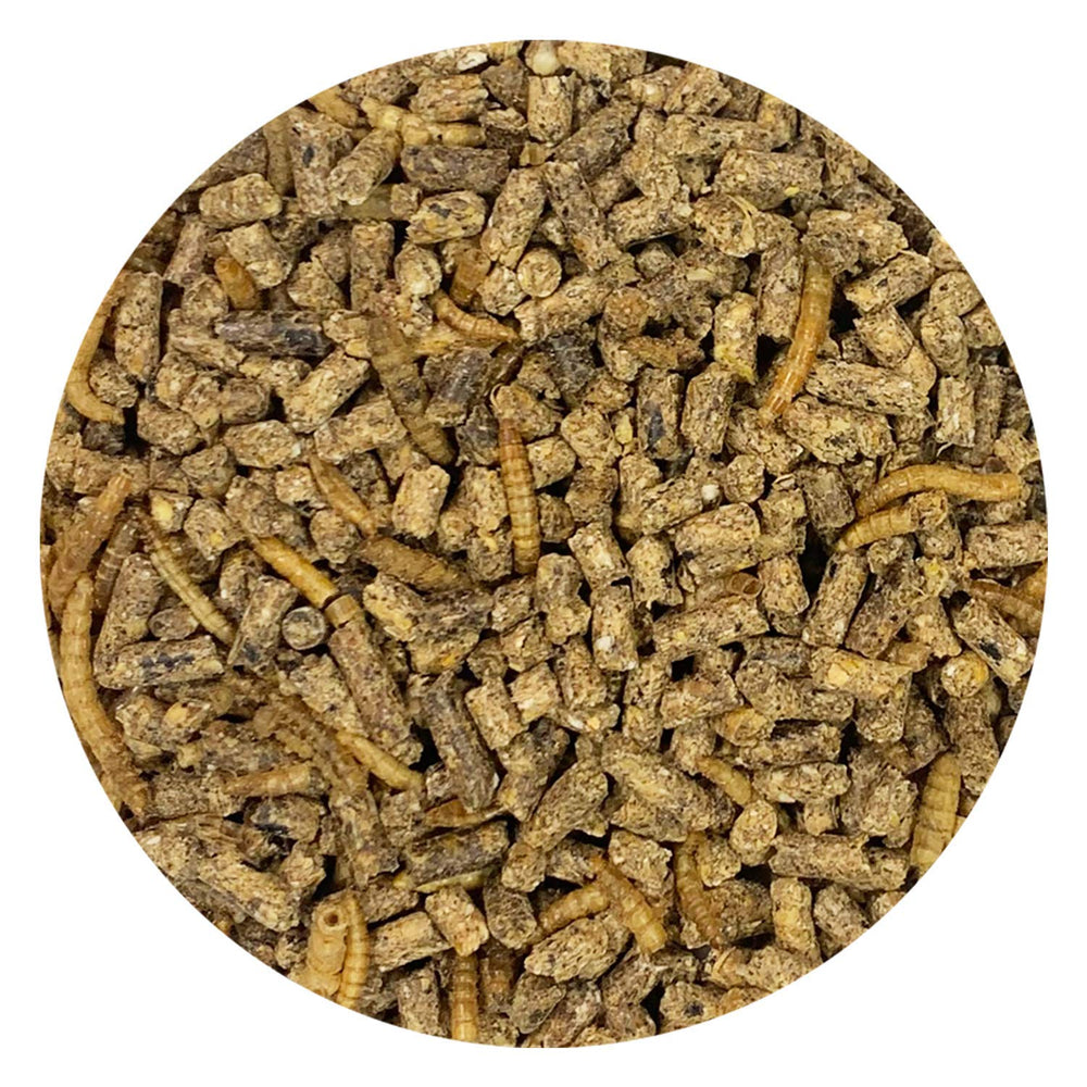 Exotic Nutrition Hedgehog Complete: mezcla de granos y proteína para nutrición equilibrada.